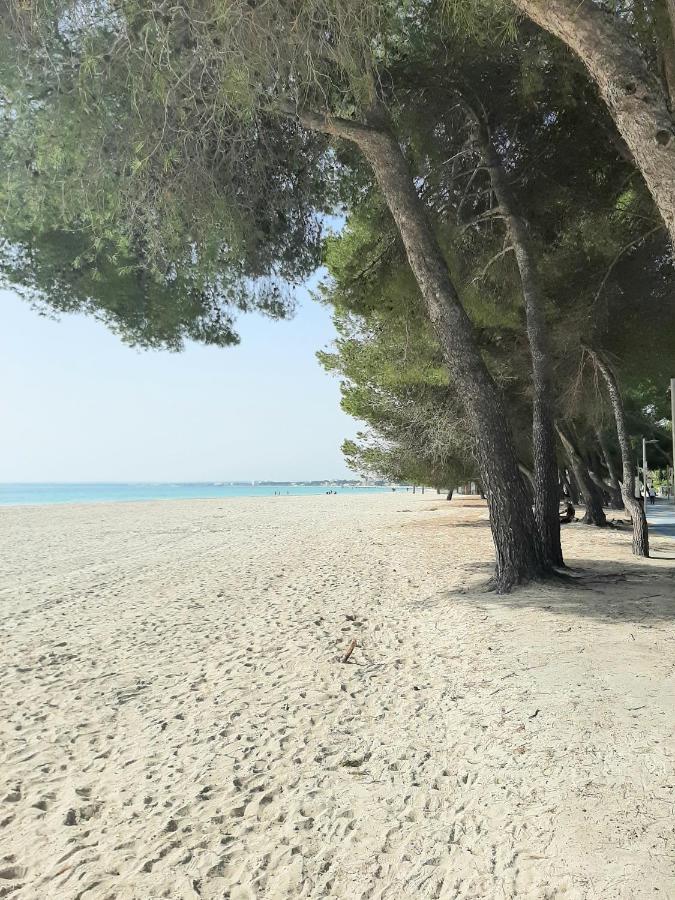 Beach Apartment Minerva Port d'Alcúdia Exteriér fotografie